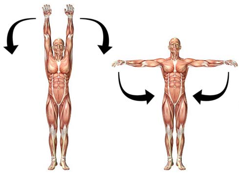 shoulder-adduction