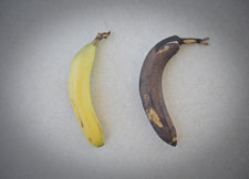 good-banana-bad-banana